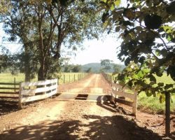 Fazenda em Nerópolis – 50 Alqueires
