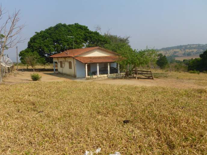 Fazenda em Anicuns – 70 alqueires